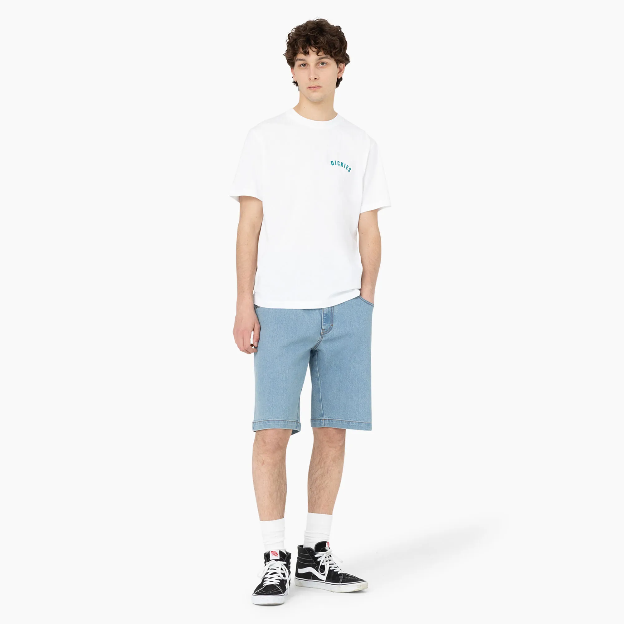 Dickies Skateboarding Wingville Loose Fit Shorts