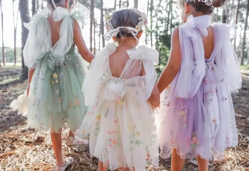 Enchanted Angel Dress - Embroidered Pink