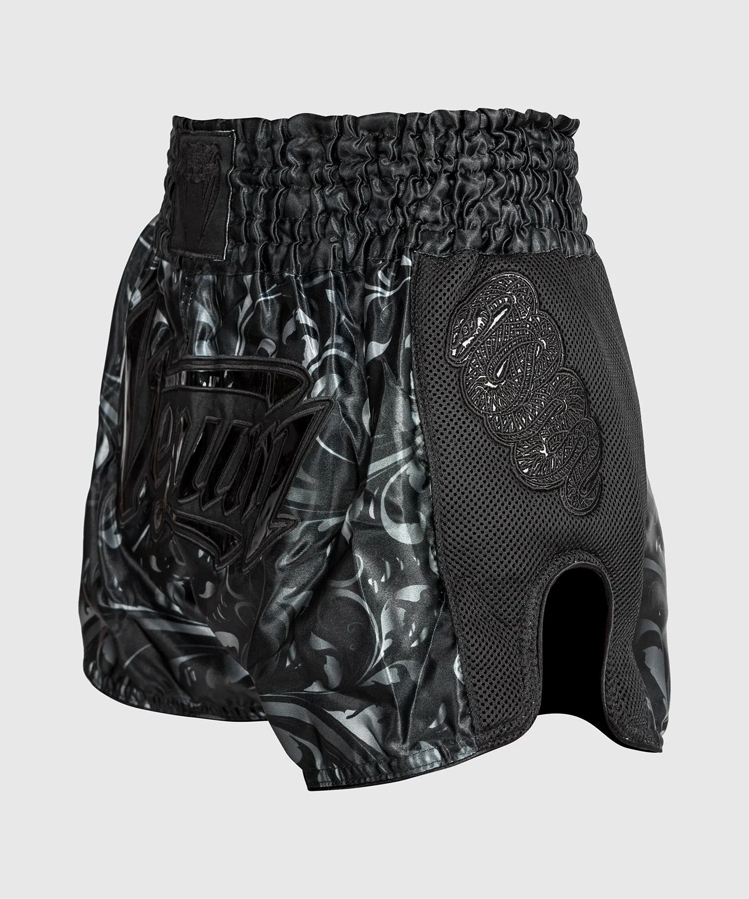 Muay Thai Shorts Absolute 2.0 Venum - Black/Black