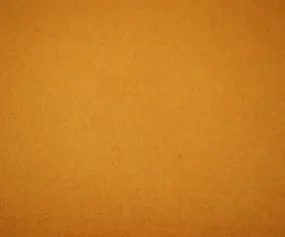 Mustard Yellow Melton Wool Polyester Blend Solid Brushed Jacketing Fabric